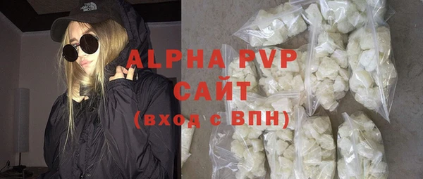 стаф Козельск