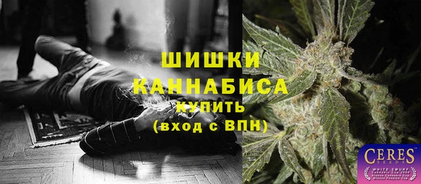 стаф Козельск