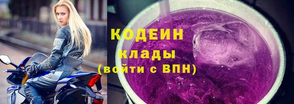 стаф Козельск