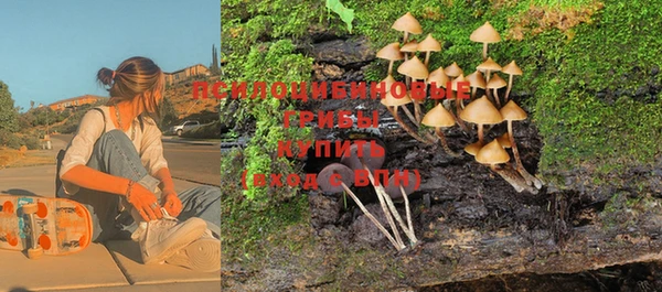 марки nbome Козловка