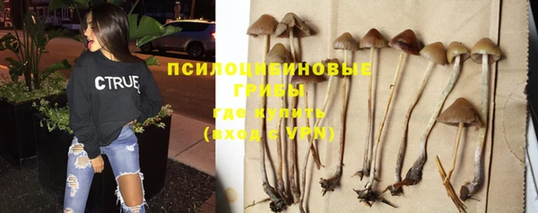 марихуана Кодинск