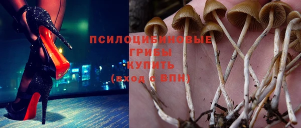 марки nbome Козловка