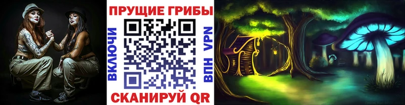 Псилоцибиновые грибы Psilocybine cubensis  что такое   Касимов 
